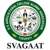 SVAGAAT